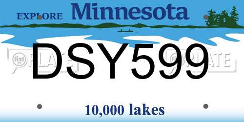 DSY599 Minnesota License Plate
