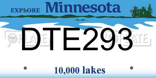 DTE293 Minnesota License Plate