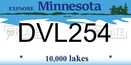 DVL254 Minnesota License Plate