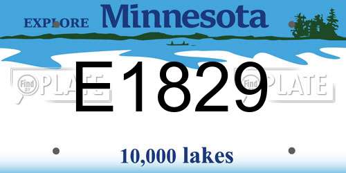 E1829 Minnesota License Plate