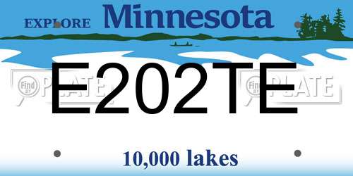 E202TE Minnesota License Plate