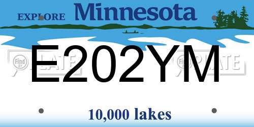 E202YM Minnesota License Plate