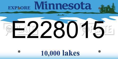E228015 Minnesota License Plate