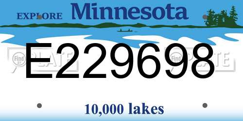 E229698 Minnesota License Plate