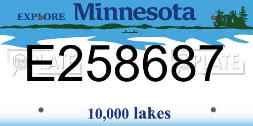 E258687 Minnesota License Plate
