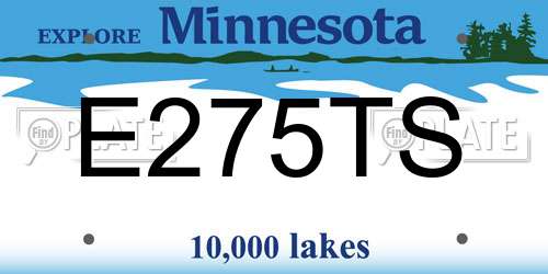 E275TS Minnesota License Plate