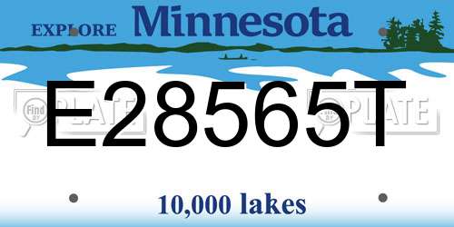 E28565T Minnesota License Plate