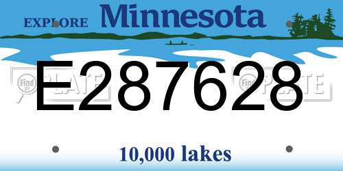 E287628 Minnesota License Plate