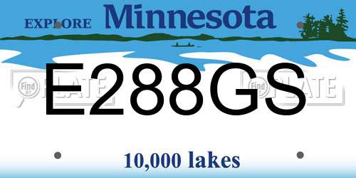 E288GS Minnesota License Plate