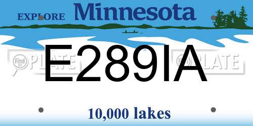 E289IA Minnesota License Plate