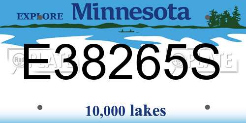 E38265S Minnesota License Plate