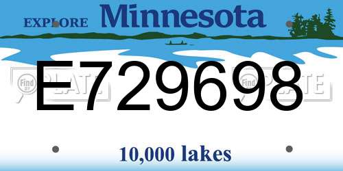 E729698 Minnesota License Plate