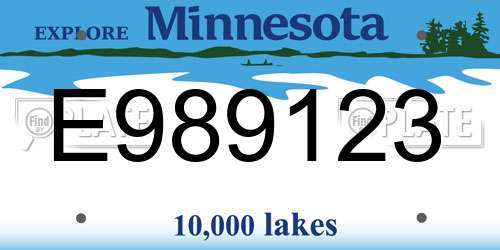 E989123 Minnesota License Plate