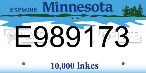 E989173 Minnesota License Plate