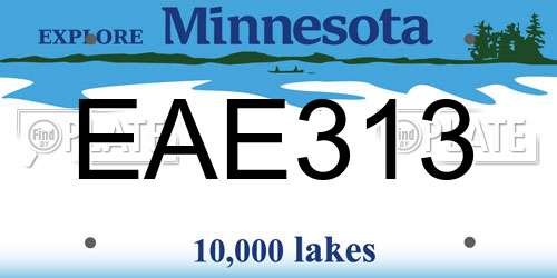 EAE313 Minnesota License Plate