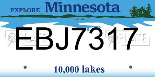 EBJ7317 Minnesota License Plate