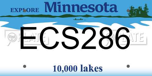 ECS286 Minnesota License Plate
