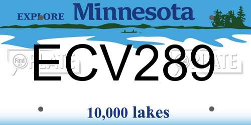 ECV289 Minnesota License Plate