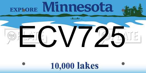ECV725 Minnesota License Plate