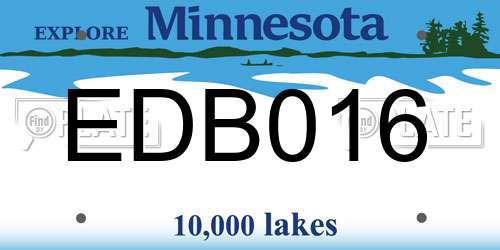 EDB016 Minnesota License Plate