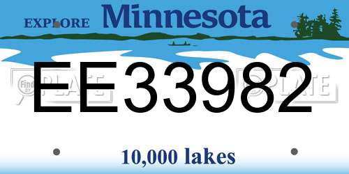 EE33982 Minnesota License Plate