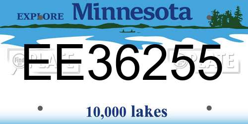 EE36255 Minnesota License Plate