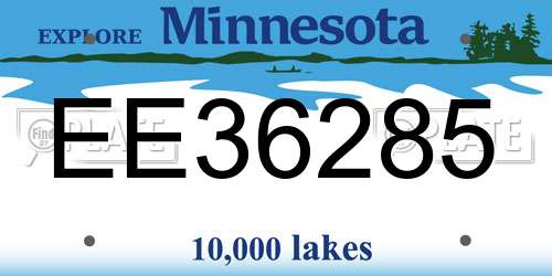 EE36285 Minnesota License Plate