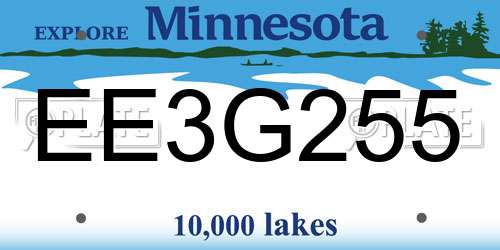 EE3G255 Minnesota License Plate