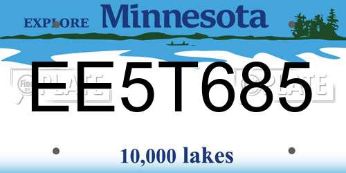 EE5T685 Minnesota License Plate