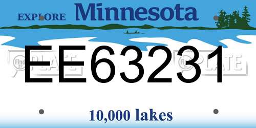 EE63231 Minnesota License Plate