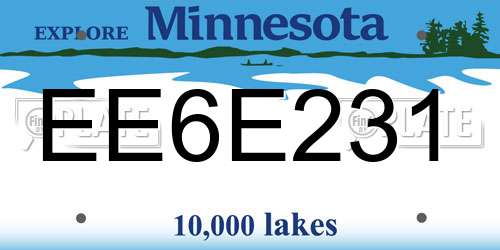 EE6E231 Minnesota License Plate
