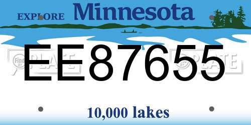 EE87655 Minnesota License Plate