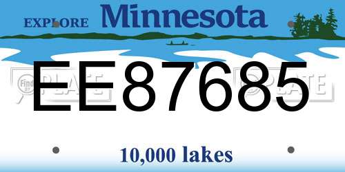 EE87685 Minnesota License Plate