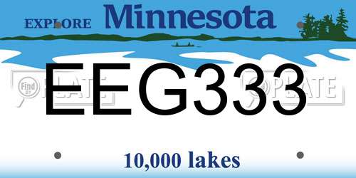 EEG333 Minnesota License Plate