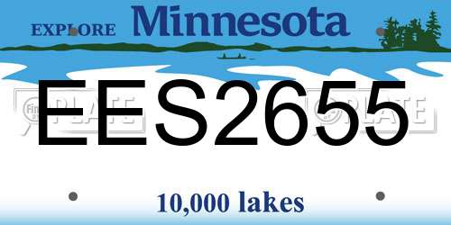 EES2655 Minnesota License Plate