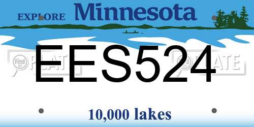 EES524 Minnesota License Plate