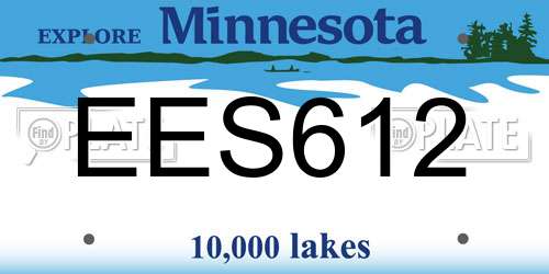 EES612 Minnesota License Plate
