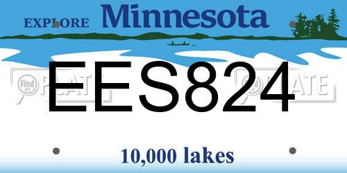 EES824 Minnesota License Plate