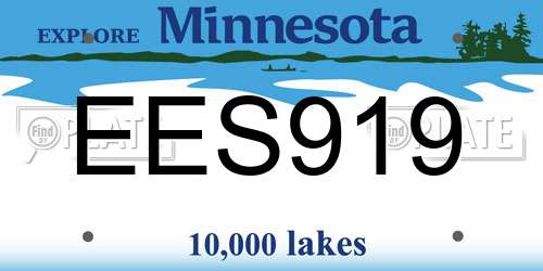 EES919 Minnesota License Plate