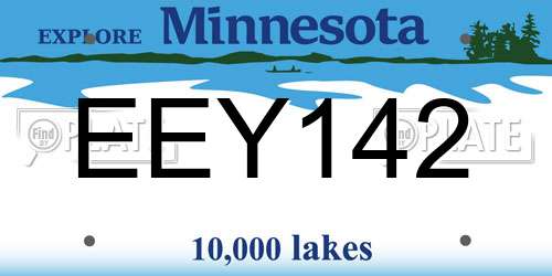 EEY142 Minnesota License Plate