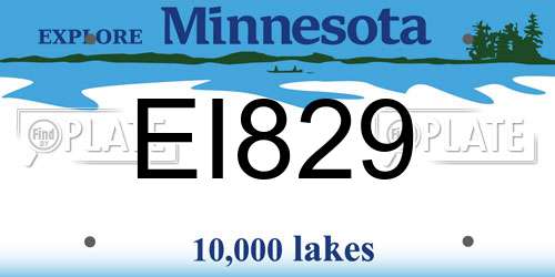 EI829 Minnesota License Plate