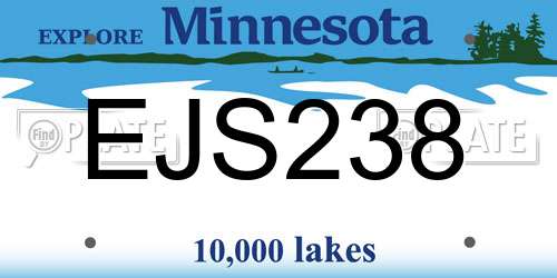 EJS238 Minnesota License Plate