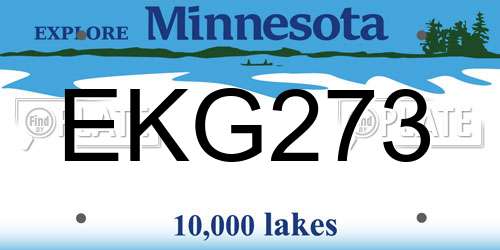 EKG273 Minnesota License Plate