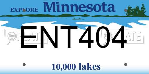 ENT404 Minnesota License Plate
