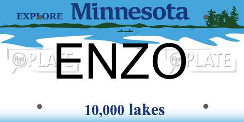 ENZO Minnesota License Plate