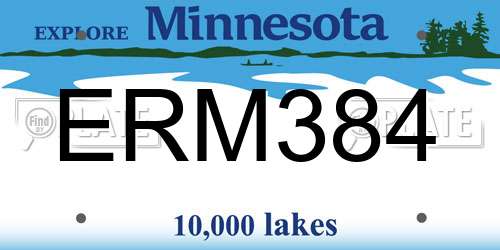 ERM384 Minnesota License Plate