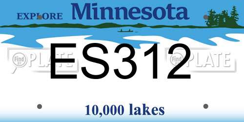 ES312 Minnesota License Plate