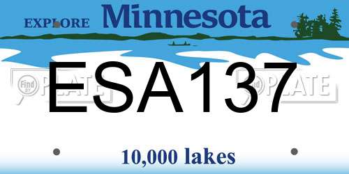 ESA137 Minnesota License Plate