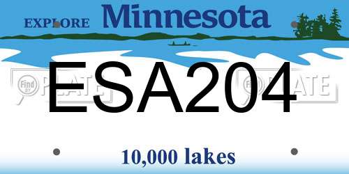 ESA204 Minnesota License Plate