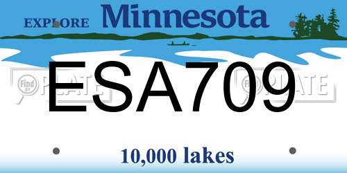 ESA709 Minnesota License Plate